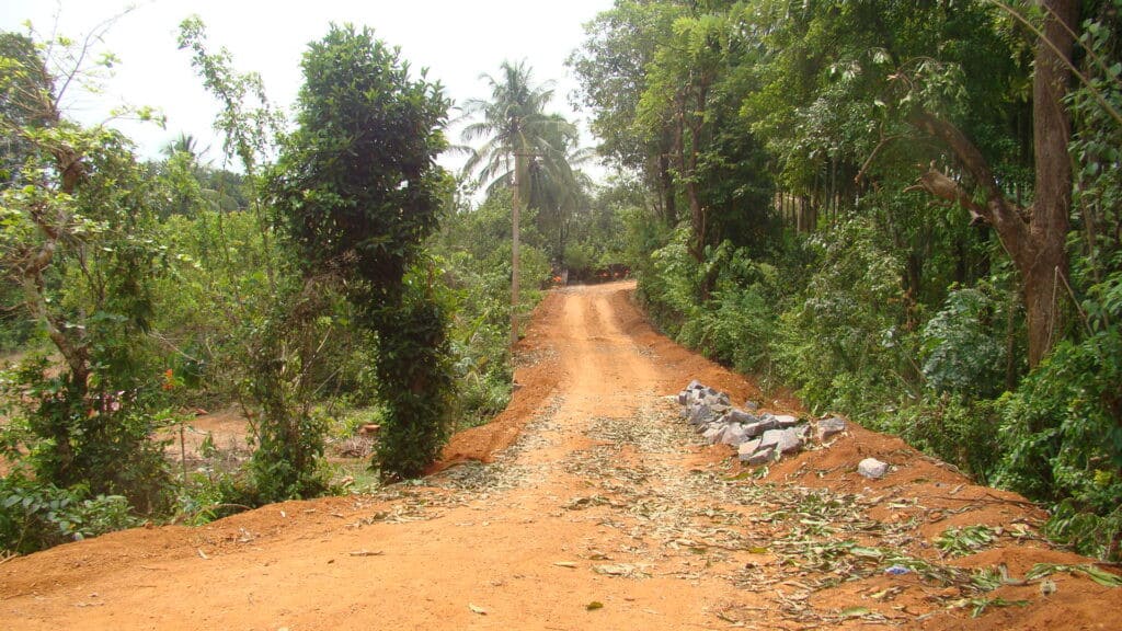 Road to Cocoguru