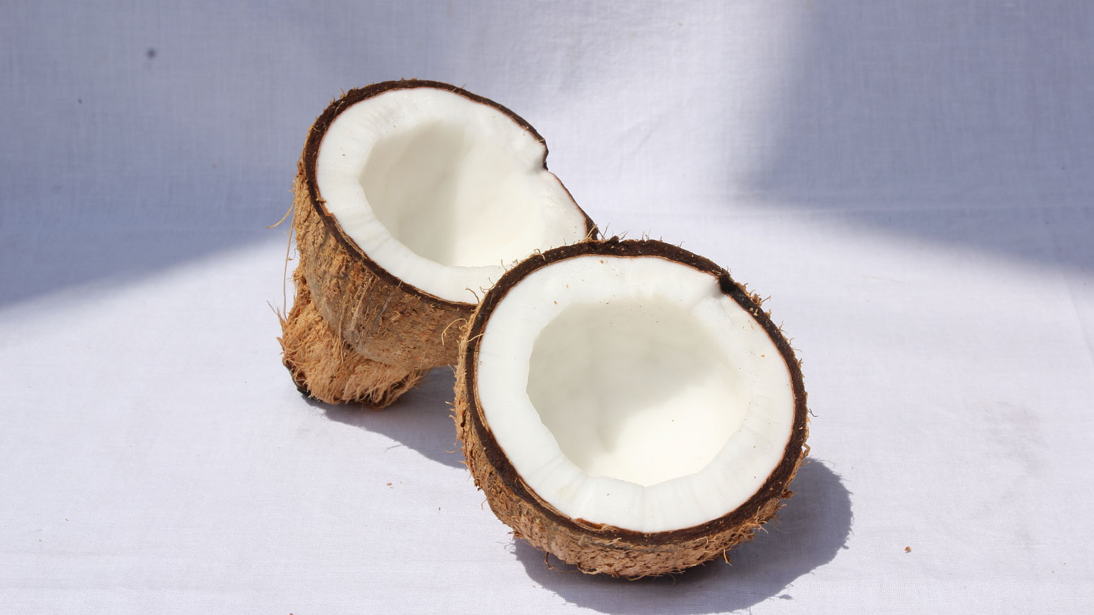 Coconut Cut