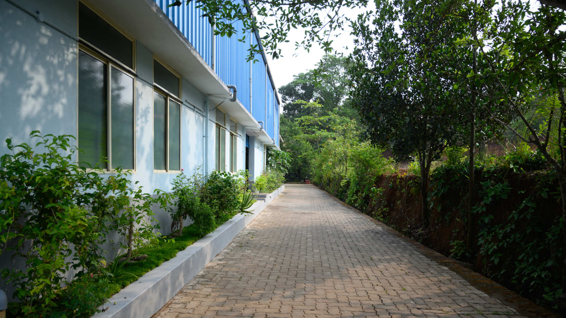 Path from canteen